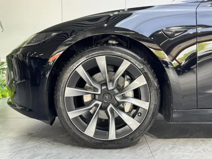 Model 3 2023 Model Long Battery Life Pro All-wheel drive version – фото 6
