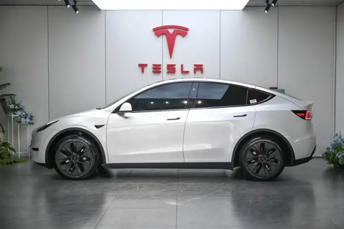 Model Y 2024 Model Rear-wheel drive version – фото 3