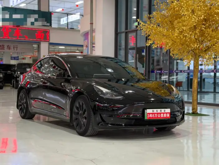 Model 3 2023 Model Rear-wheel drive version – фото 3