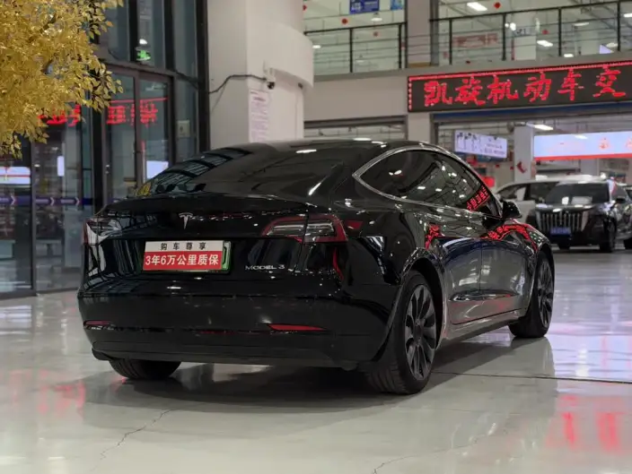 Model 3 2023 Model Rear-wheel drive version – фото 6