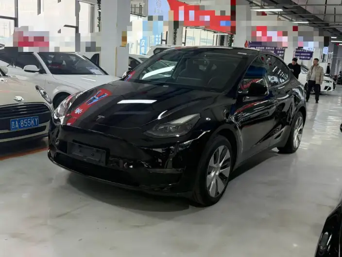 Model Y 2023 Model Long Battery Life Pro All-wheel drive version – фото 1