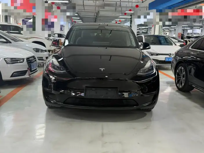 Model Y 2023 Model Long Battery Life Pro All-wheel drive version – фото 2