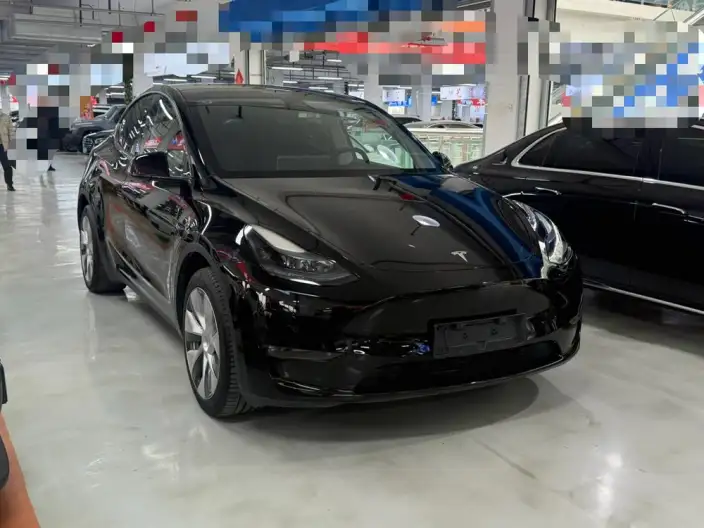 Model Y 2023 Model Long Battery Life Pro All-wheel drive version – фото 3