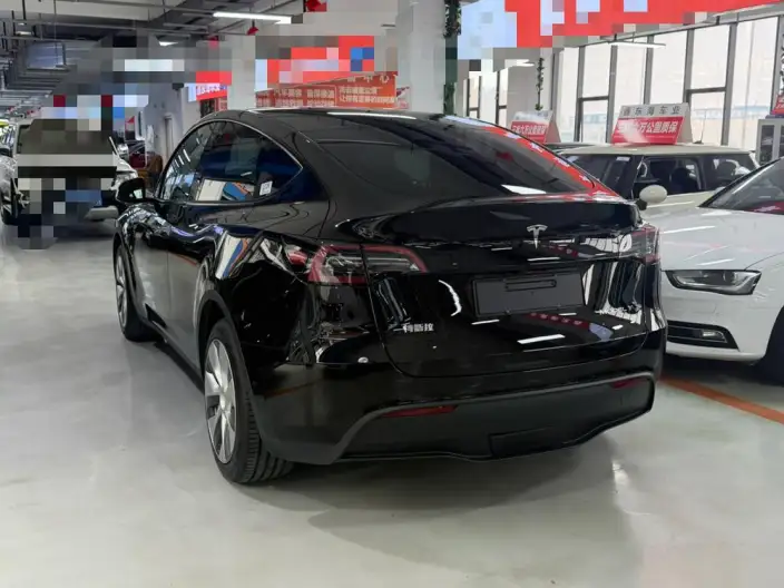 Model Y 2023 Model Long Battery Life Pro All-wheel drive version – фото 4