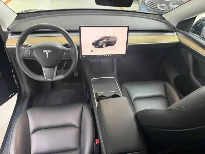 Model Y 2023 Model Long Battery Life Pro All-wheel drive version – фото 6