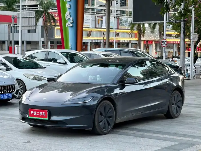Model 3 2023 Model Long Battery Life Pro All-wheel drive version – фото 1