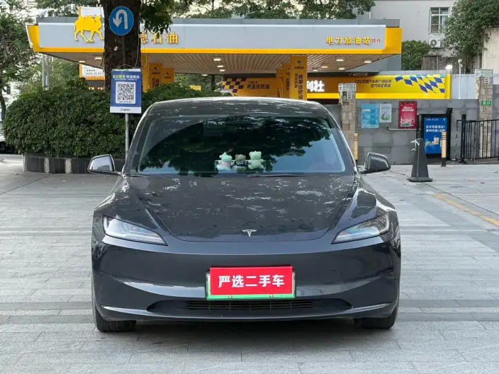 Model 3 2023 Model Long Battery Life Pro All-wheel drive version – фото 2