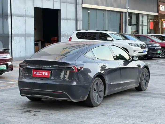 Model 3 2023 Model Long Battery Life Pro All-wheel drive version – фото 6