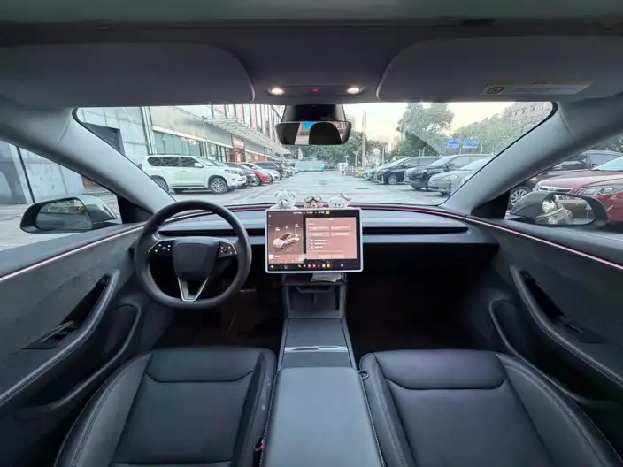 Model 3 2023 Model Long Battery Life Pro All-wheel drive version – фото 7