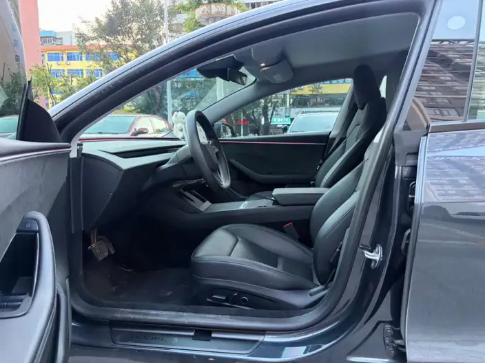 Model 3 2023 Model Long Battery Life Pro All-wheel drive version – фото 8