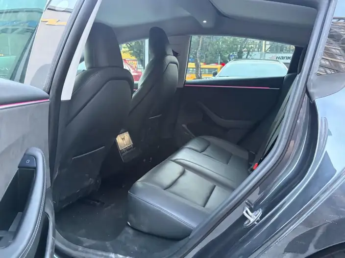 Model 3 2023 Model Long Battery Life Pro All-wheel drive version – фото 9
