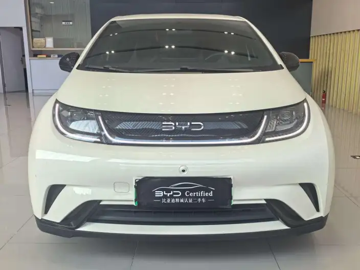 BYD Dolphin 2025 Model 420KM Free Edition – фото 2
