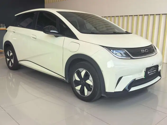 BYD Dolphin 2025 Model 420KM Free Edition – фото 3