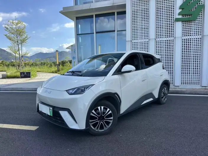 BYD Seagull 2024 Model Honor Edition 305KM Vitality Edition – фото 1