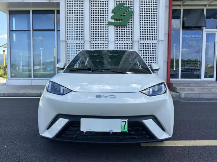 BYD Seagull 2024 Model Honor Edition 305KM Vitality Edition – фото 2