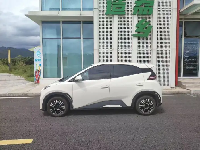 BYD Seagull 2024 Model Honor Edition 305KM Vitality Edition – фото 3