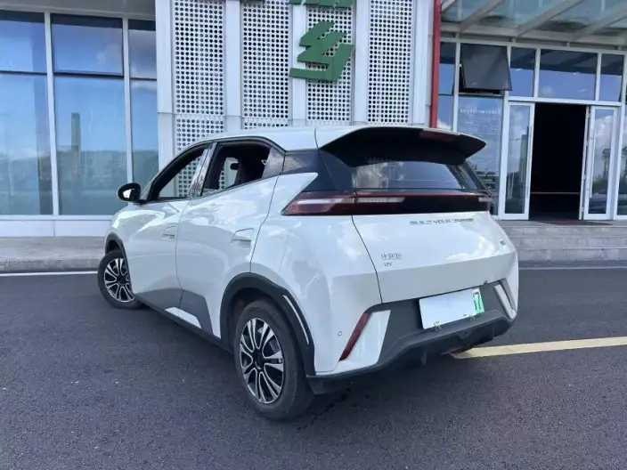 BYD Seagull 2024 Model Honor Edition 305KM Vitality Edition – фото 4