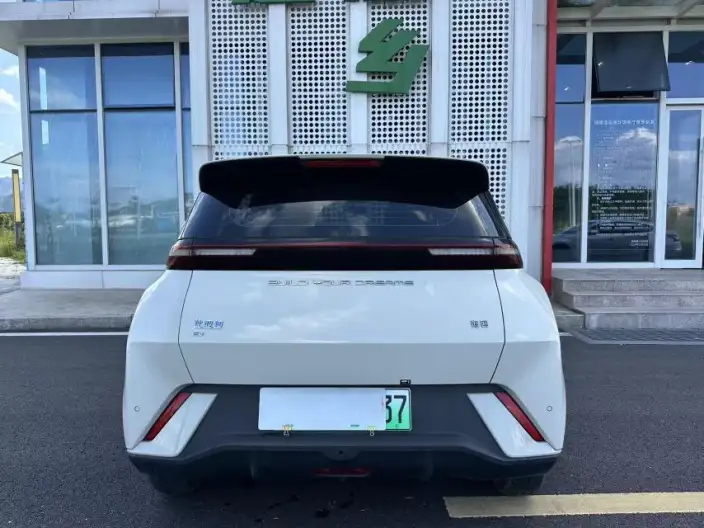 BYD Seagull 2024 Model Honor Edition 305KM Vitality Edition – фото 5