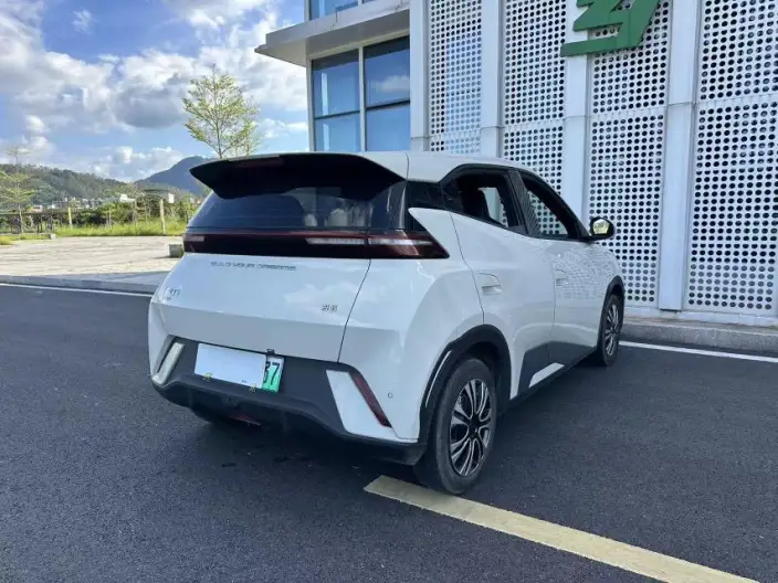BYD Seagull 2024 Model Honor Edition 305KM Vitality Edition – фото 6
