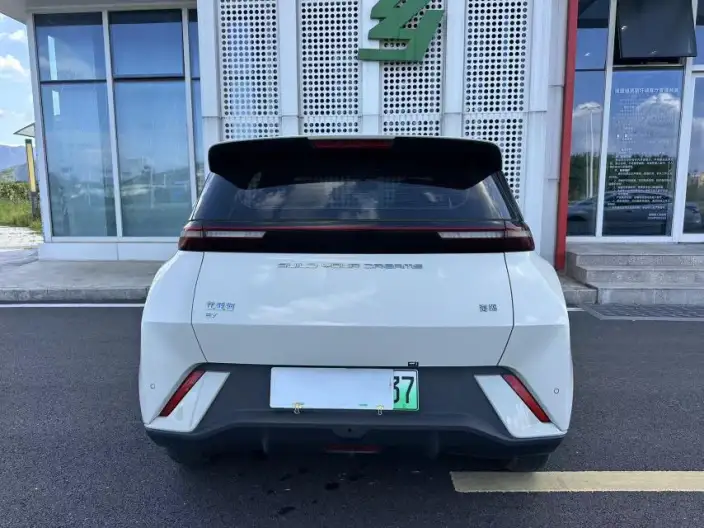 BYD Seagull 2024 Model Honor Edition 305KM Vitality Edition – фото 7