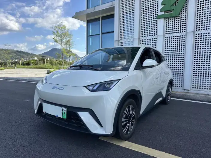 BYD Seagull 2024 Model Honor Edition 305KM Vitality Edition – фото 8