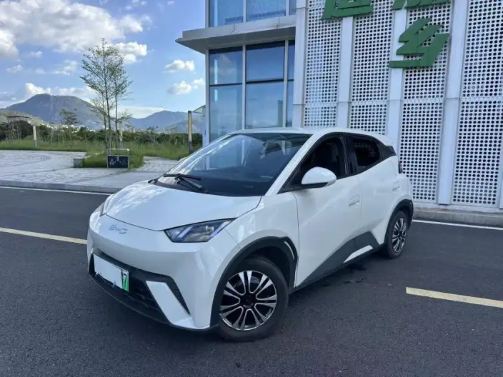 BYD Seagull 2024 Model Honor Edition 305KM Vitality Edition – фото 9