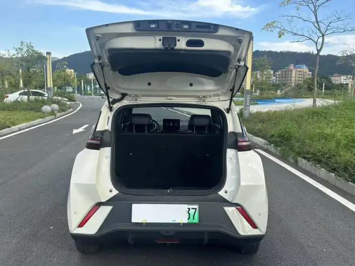 BYD Seagull 2024 Model Honor Edition 305KM Vitality Edition – фото 10