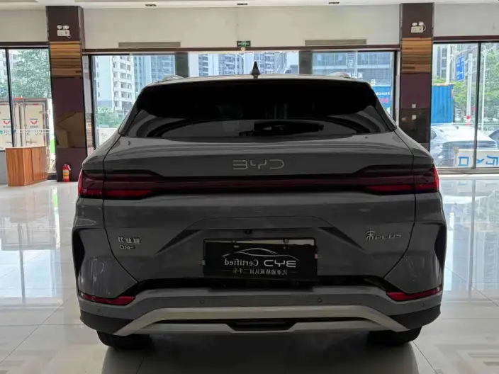BYD Song PLUS DM 2025 Model DM-i 112KM Noble Model – фото 6