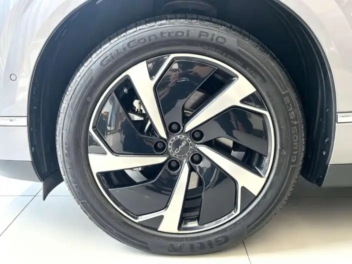 Sea Lion 06DM 2025 Model DM-i 205KM Pilot Pro Edition – фото 8