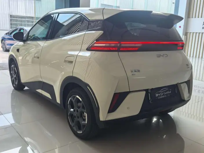 BYD Seagull 2025 Model Smart Driving Edition 405KM Feixiang Edition – фото 4