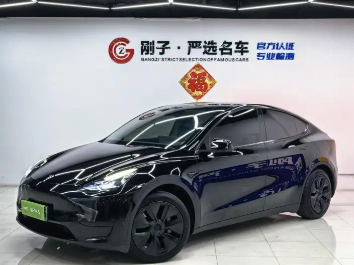 Model Y 2023 Model Rear-wheel drive version – фото 1