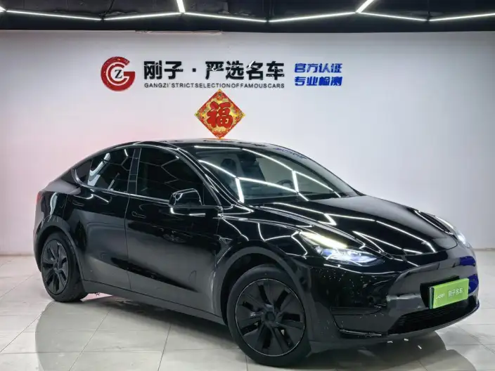 Model Y 2023 Model Rear-wheel drive version – фото 3