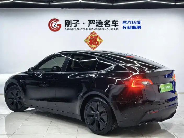 Model Y 2023 Model Rear-wheel drive version – фото 5