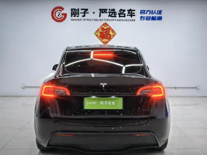 Model Y 2023 Model Rear-wheel drive version – фото 6