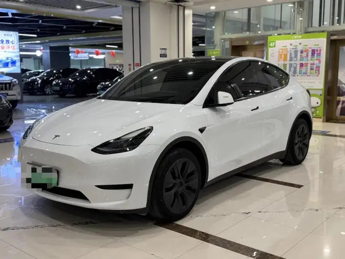 Model Y 2024 Model Rear-wheel drive version – фото 1