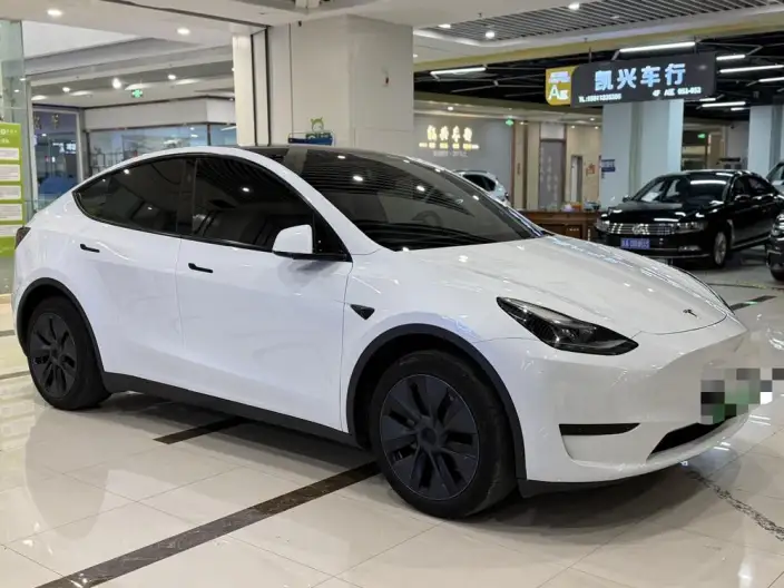 Model Y 2024 Model Rear-wheel drive version – фото 3