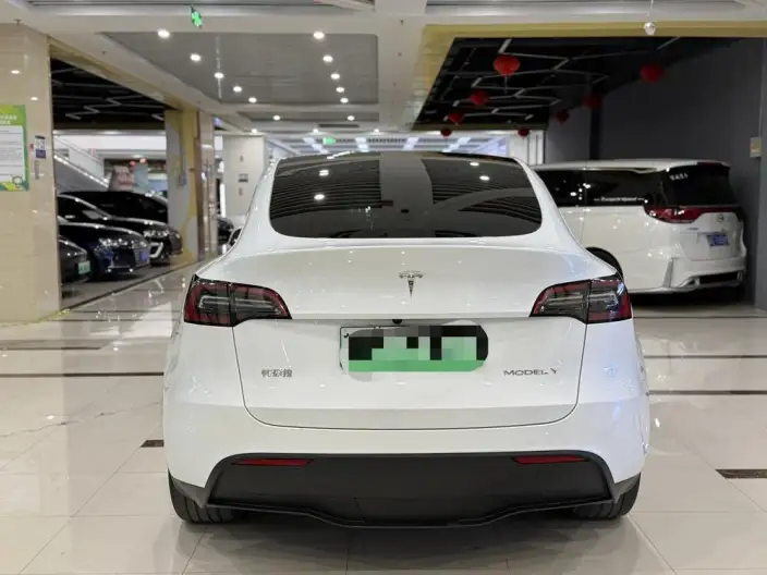 Model Y 2024 Model Rear-wheel drive version – фото 5