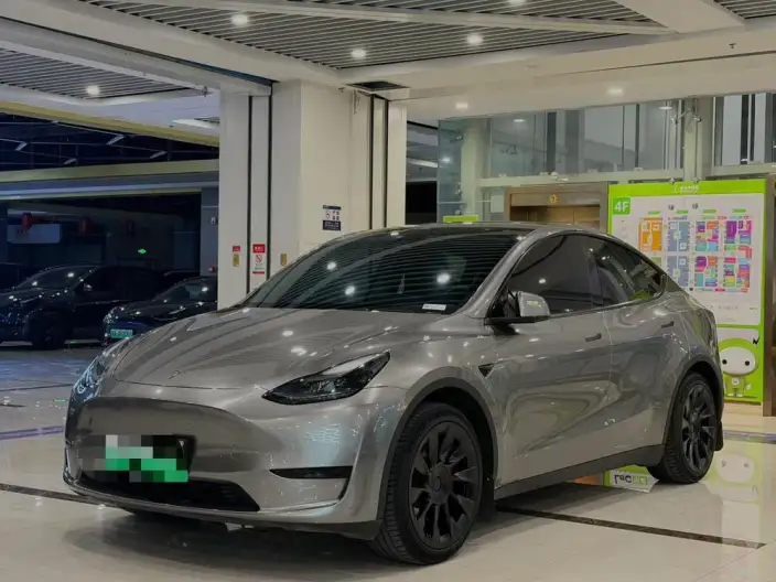 Model Y 2024 Model Rear-wheel drive version – фото 1