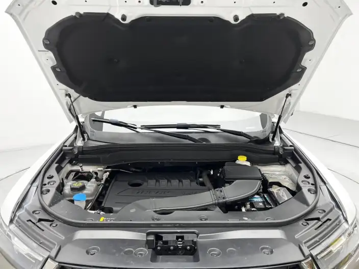 Haval H6 2021 Model Guo Trendy Edition 1.5T Automatic Champion Edition – фото 10