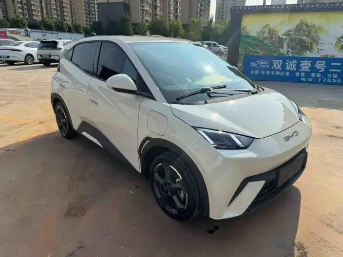 BYD Seagull 2023 Model Feixiang Edition – фото 3