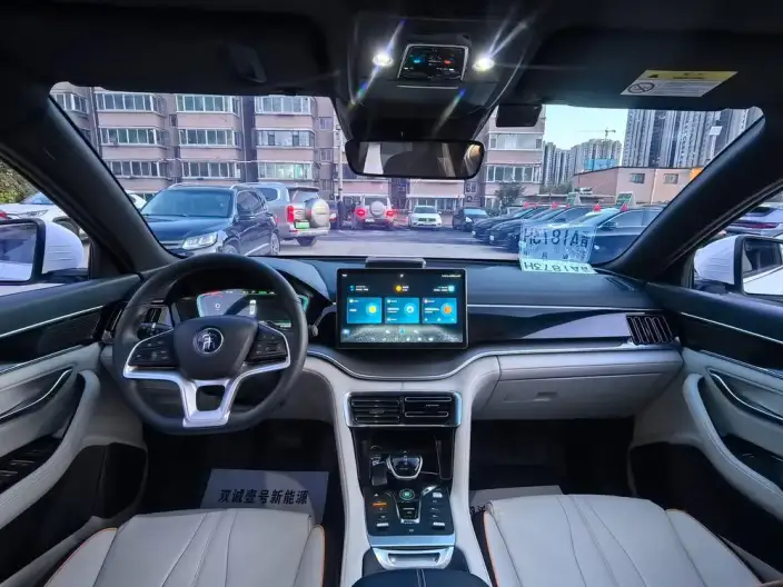 BYD Song PLUS EV 2021 Model Noble Model – фото 7