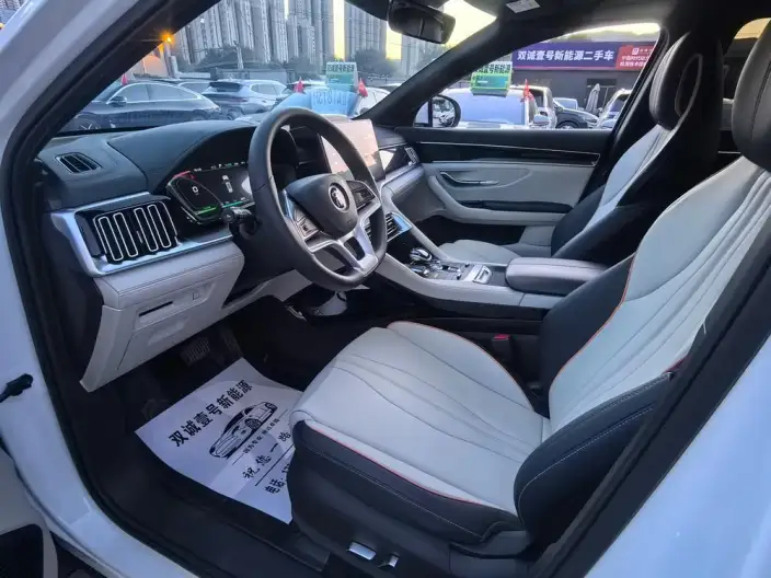 BYD Song PLUS EV 2021 Model Noble Model – фото 8