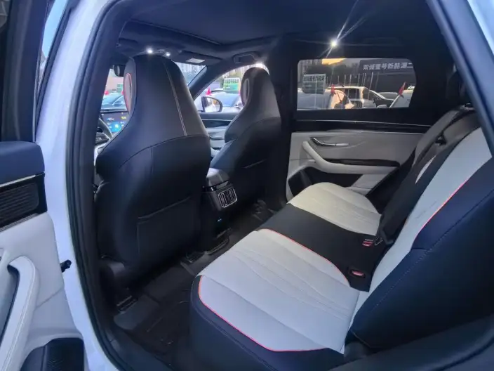 BYD Song PLUS EV 2021 Model Noble Model – фото 9