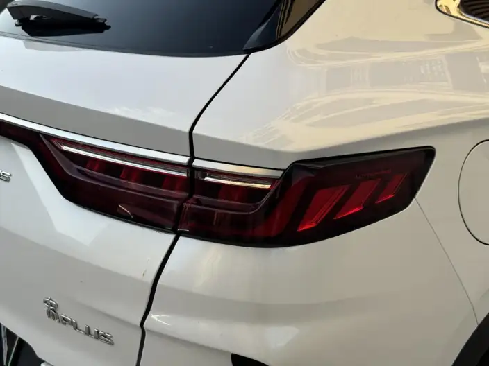 BYD Song PLUS EV 2021 Model Noble Model – фото 7