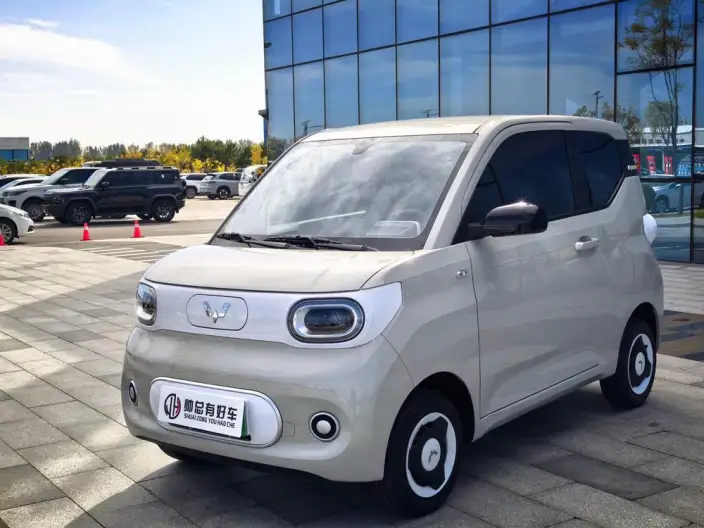 Wuling Hongguang MINIEV 2024 Model 215km Youth Edition Lithium Iron Phosphate