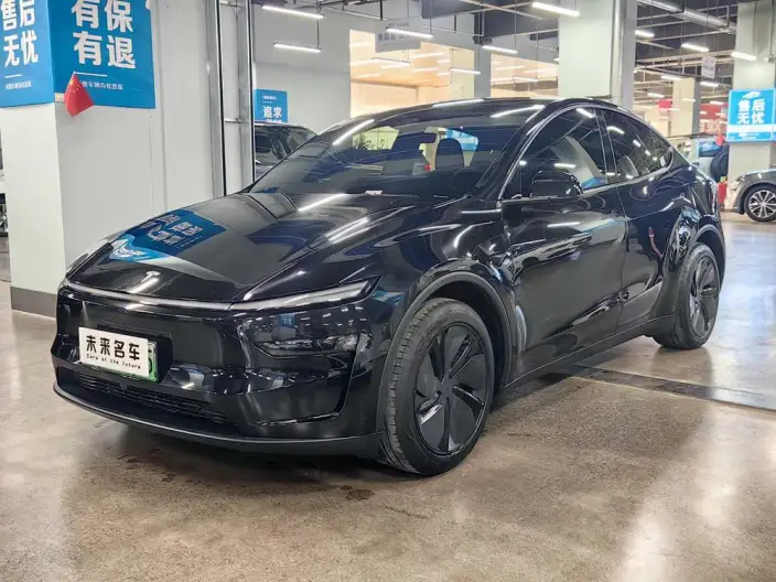 Model Y 2025 Model Rear-wheel drive version – фото 1