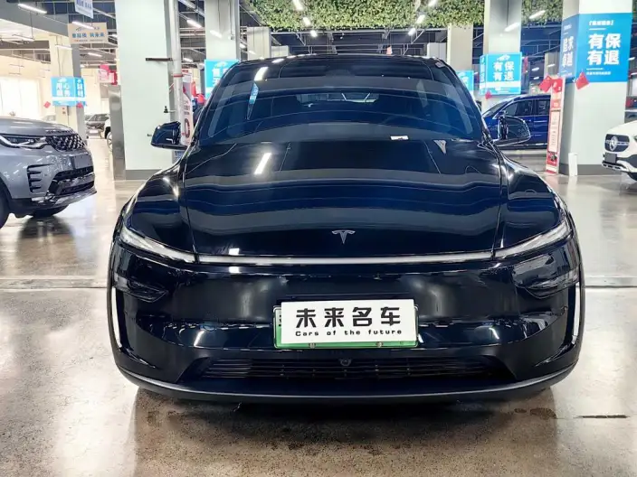 Model Y 2025 Model Rear-wheel drive version – фото 2