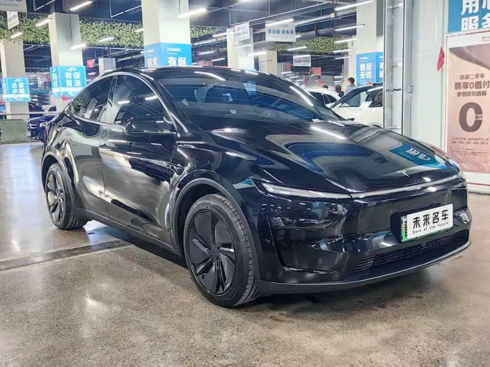Model Y 2025 Model Rear-wheel drive version – фото 3
