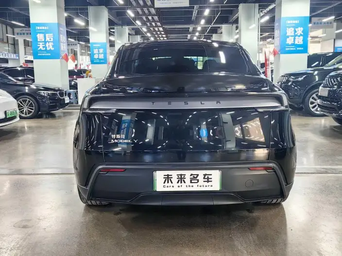 Model Y 2025 Model Rear-wheel drive version – фото 5