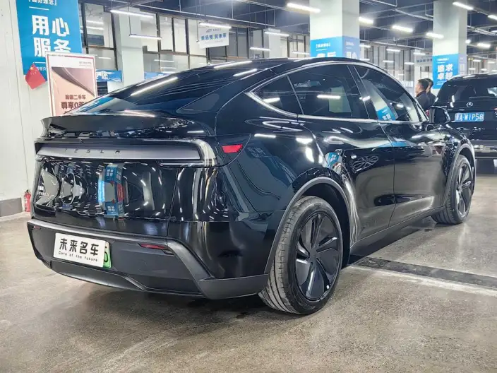 Model Y 2025 Model Rear-wheel drive version – фото 6
